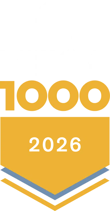 Mega 1000 Color Light 2026